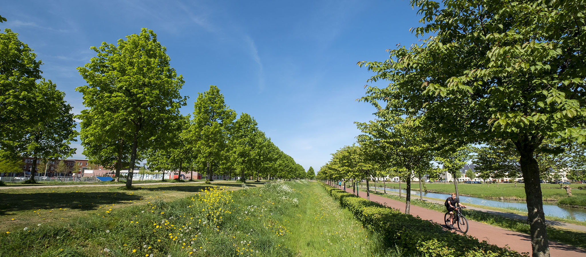 Hofpark Nieuwbouw Houten