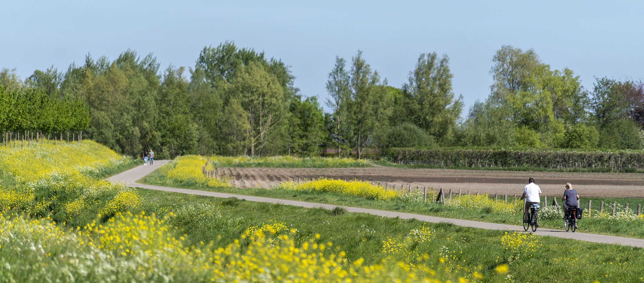 Hofpark Nieuwbouw Houten